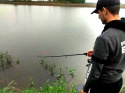 Nevis Vanity Carp Feeder 3,60m / c.w.40-100g Nevis Vanity Carp Feeder 3,60m / c.w.40-100g