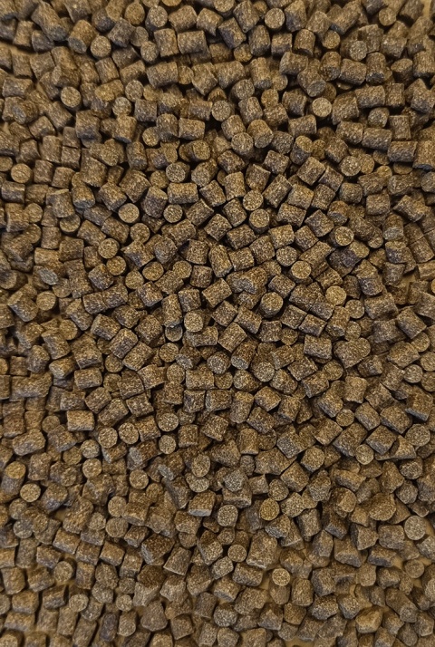 Pellet 6mm Seria Klubowa - Feeder Bait