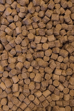 Pellet 9mm - Match Feeder - Jasny