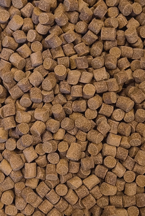 Pellet 9mm - Match Feeder - Jasny
