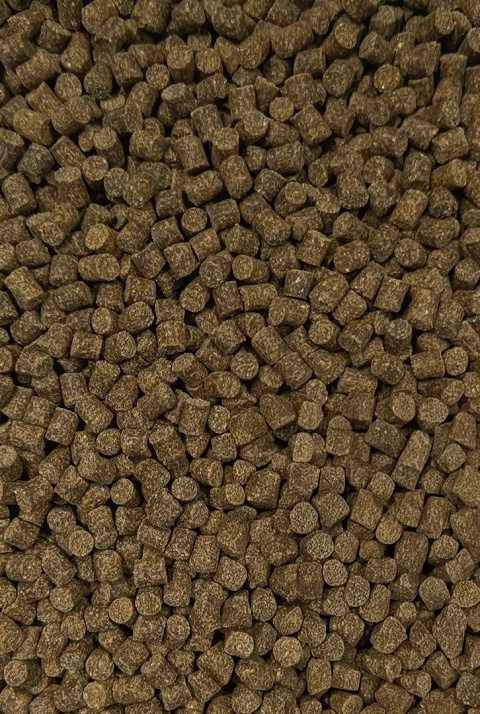 Pellet Garant Aqua - Classic 6mm - 1kg