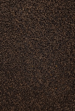 Pellet Gotowy w Wiaderku Halibut - Feeder Bait