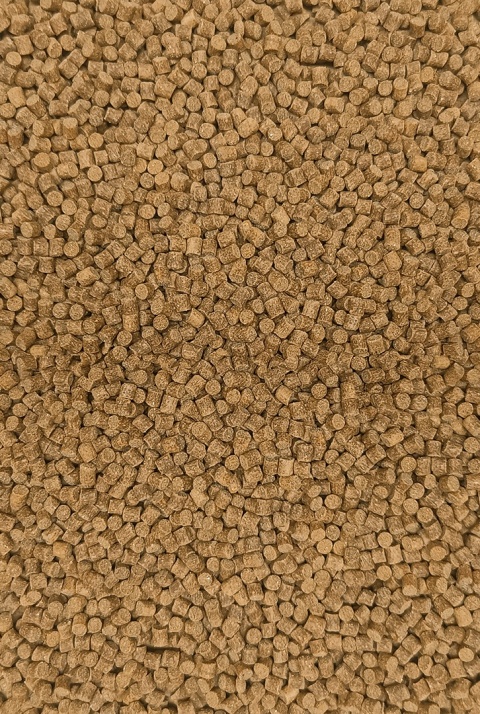 Pellet Skretting - Coarse Fish 4,5mm - 1kg