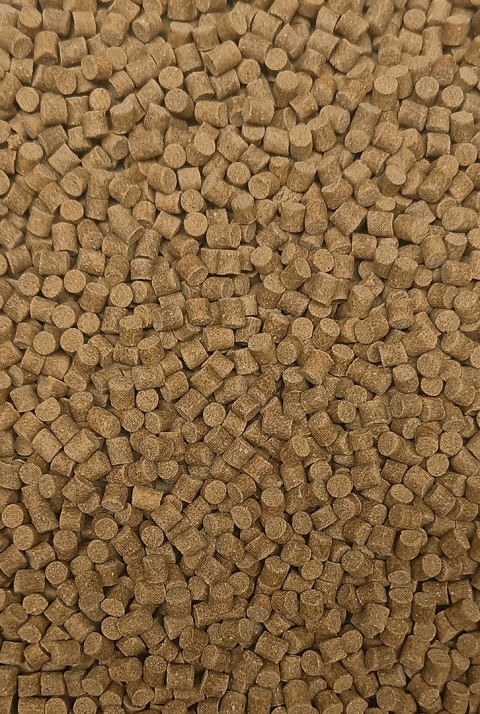 Pellet Skretting - Coarse Fish 6mm - 1kg