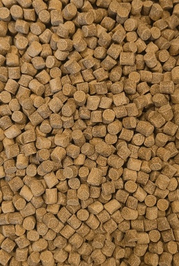 Pellet Skretting - Coarse Fish 8,5mm - 1kg