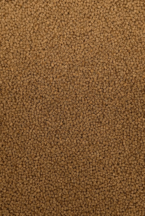 Pellet Skretting - Coarse Fish 2,3mm - 25kg