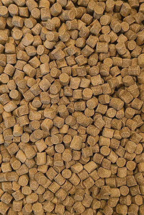 Pellet Skretting - Coarse Fish 8,5mm - 25kg